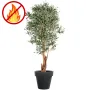 OLIVIER artificiel NEW tronc noueux 170 cm  (olives noires) ANTI FEU en pot