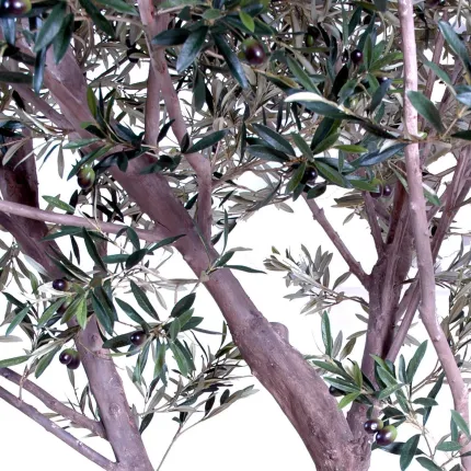 OLIVIER artificiel NEW géant 240 cm (olive noire) ANTI FEU - tronc et feuillage