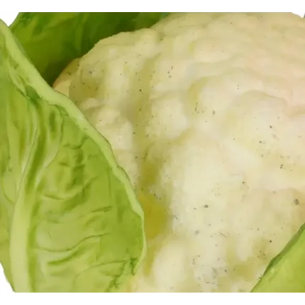 coté CHOU FLEUR artificiel 15 cm