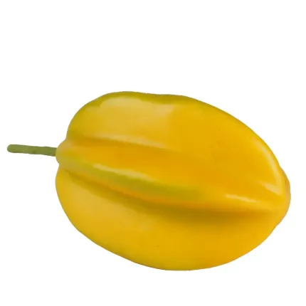 CARAMBOLE artificielle 10 cm de dos