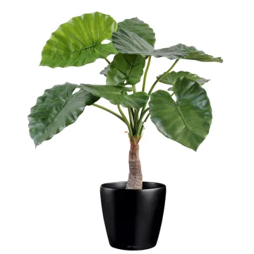 ALOCASIA CALIDORA  artificiel  80cm  ANTI FEU