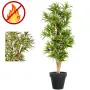 Dracena artificiel (ou DRACAENA) Reflexa new 150 ou 180 cm ANTI FEU