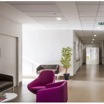 Dracena artificiel (ou DRACAENA) Reflexa new 150 ou 180 cm ANTI FEU en situation dans un couloir