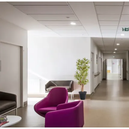 Dracena artificiel (ou DRACAENA) Reflexa new 150 ou 180 cm ANTI FEU en situation dans un couloir