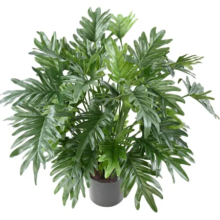 PHILODENDRON SELLOUM artificiel  75 cm par dessus