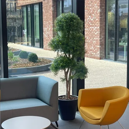 Eucalyptus Plast Artificiel tree 130 à 180 cm dans hall d'accueil