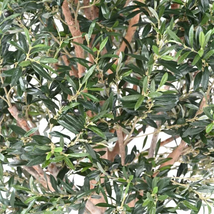 feuilles OLIVIER artificiel NEW TETE large (olives noires) 150 à 220 cm