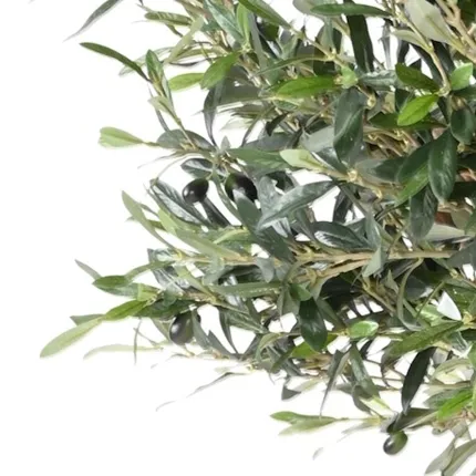 feuilles et olives OLIVIER artificiel NEW TETE large (olives noires) 150 à 220 cm