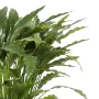 feuilles CALATHEA artificiel 86 cm