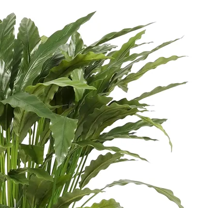 feuilles CALATHEA artificiel 86 cm