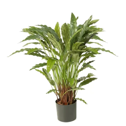 CALATHEA artificiel 84 cm