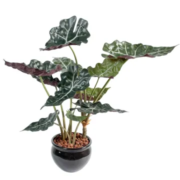 ALOCASIA artificiel 65 cm