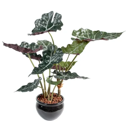 ALOCASIA artificiel 65 cm