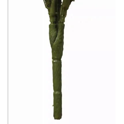 livré avec pic ou carotte