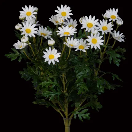 MARGUERITE artificielle 40 cm