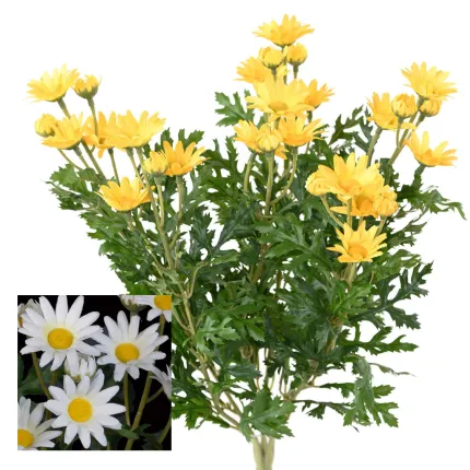 MARGUERITE artificielle 40 cm