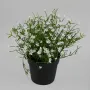 MARGUERITE MINI artificielle blanche 20 cm en pot