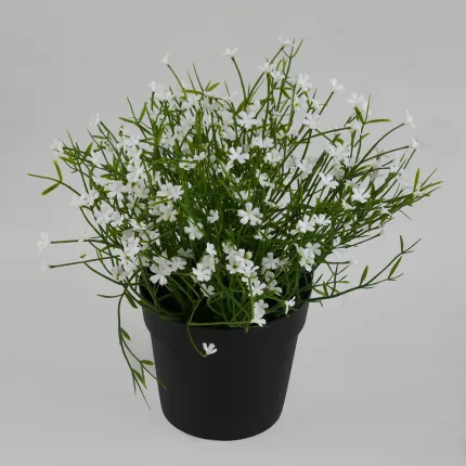 MARGUERITE MINI artificielle blanche 20 cm en pot
