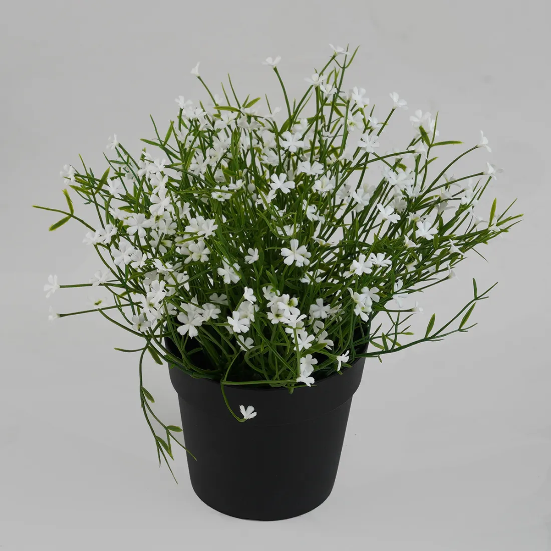 MARGUERITE MINI artificielle blanche 20 cm en pot