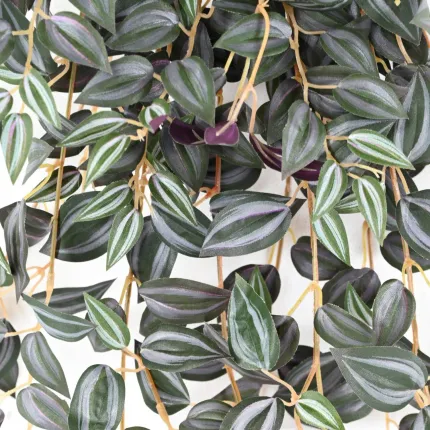 feuilles TRADESCANTIA artificiel vert violet 70 et 110 cm