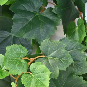 feuilles VIGNE artificielle 120 cm