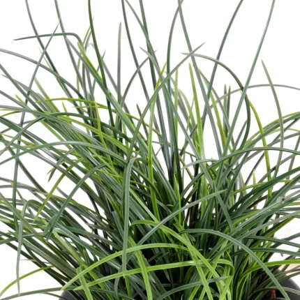 feuilles HERBE artificielle FINE plastique en pot 35 cm en détail