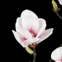 fleur blanche branche MAGNOLIA artificiel 82 cm