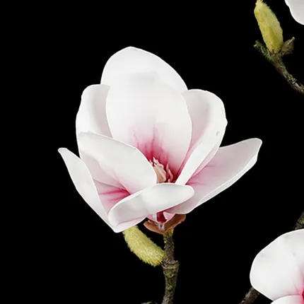 fleur blanche branche MAGNOLIA artificiel 82 cm