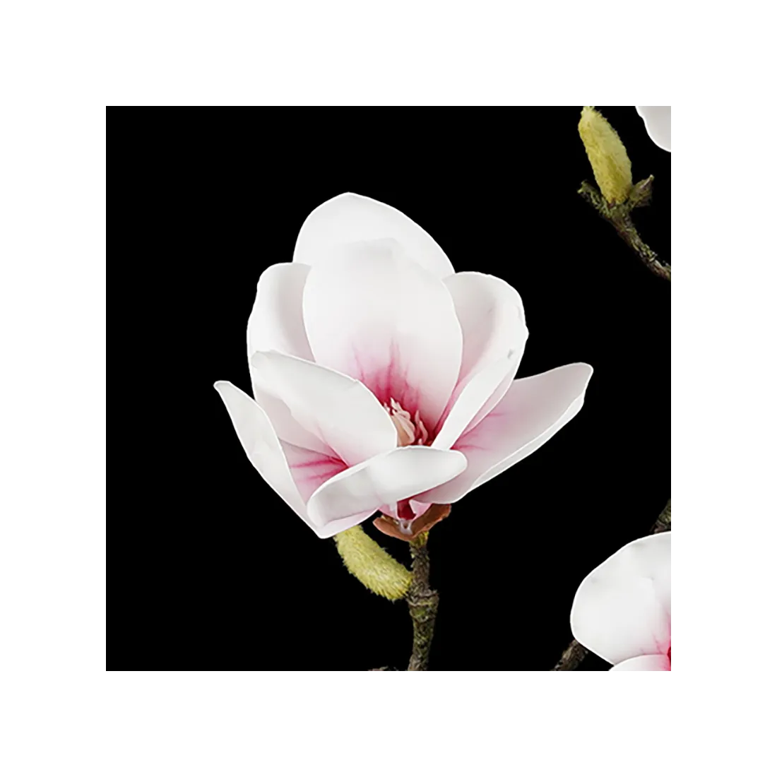 fleur blanche branche MAGNOLIA artificiel 82 cm