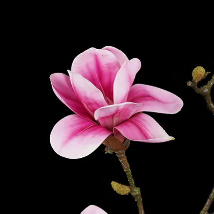fleur rose branche MAGNOLIA artificiel 82 cm