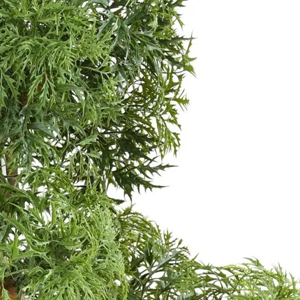 feuilles BONSAI artificiel ARALIA 95 cm