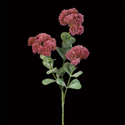 SEDUM artificiel rose foncé 56 cm