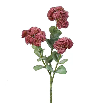 SEDUM artificiel rose foncé 56 cm sur fond blanc