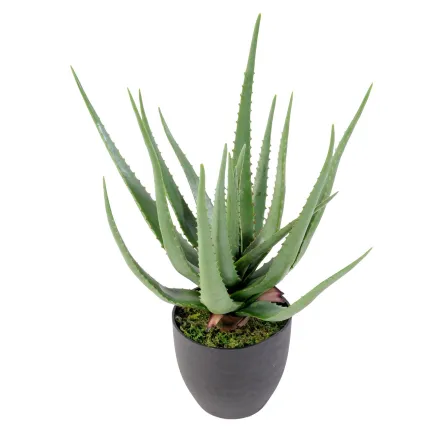 ALOEVERA artificiel 60 cm