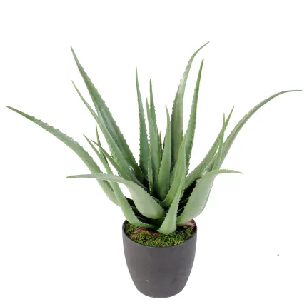 ALOEVERA artificiel 70 cm