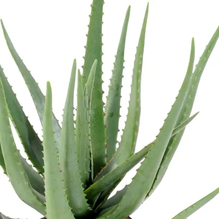feuillage ALOEVERA artificiel 60 cm