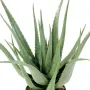 feuillage ALOEVERA artificiel 70 cm