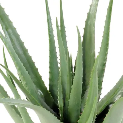 feuilles ALOEVERA artificiel 70 cm