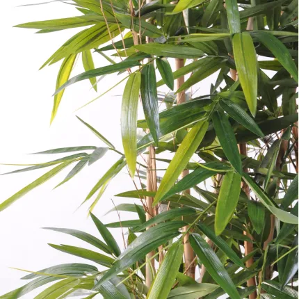 feuillage HAIE artificielle BAMBOU new dense 150 et 180 cm longueur 120 cm