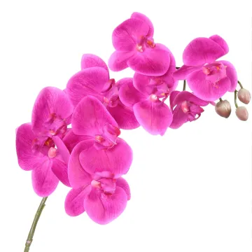 PHALAENOPSIS artificielle  85 cm vu rapprochée