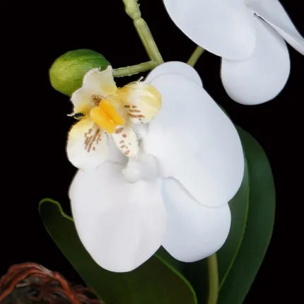 fleurs composition ORCHIDEE artificielle 18 cm blanc