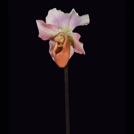 ORCHIDEE ladie slipper artificielle ou Sabot de Vénus artificiel 45cm