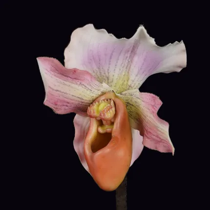 fausse fleur ORCHIDEE ladie slipper artificielle ou Sabot de Vénus artificiel 45cm