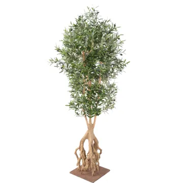 OLIVIER artificiel racines aériennes 175 cm