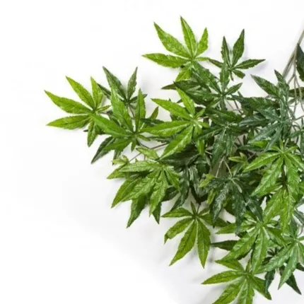 feuilles ERABLE artificiel  vert