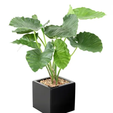 ALOCASIA CALIDORA  artificiel  bush 65 cm  ANTI FEU en pot cube noir