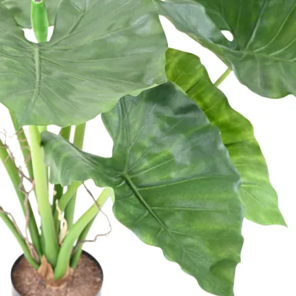 feuilles ALOCASIA CALIDORA  artificiel  bush 65 cm  ignifugé