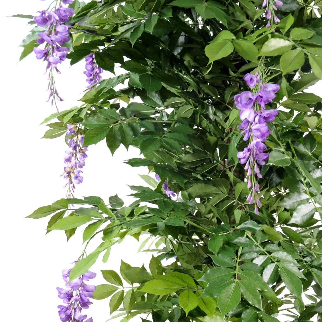 GLYCINE artificielle LIANES  new de 110 à 180 cm lavande - feuillage et fleurs