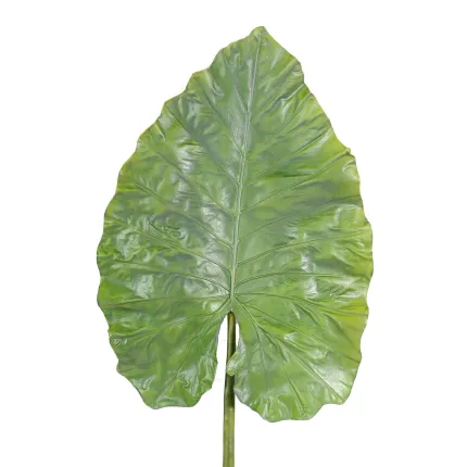 feuille vu rapprochée de l'Alocasia feuille géante artificielle 160 cm gros plan