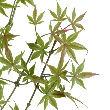 feuilles branche artificielle ERABLE plastique verte 70 cm (aralia)